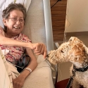 Therapiehund Toni – Neuzugang im Team der Palliativmedizin